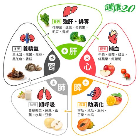 食物 五行|中醫知識 